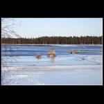 2011_02_18_IMG_3584a