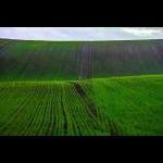 _MG_0544_800x533