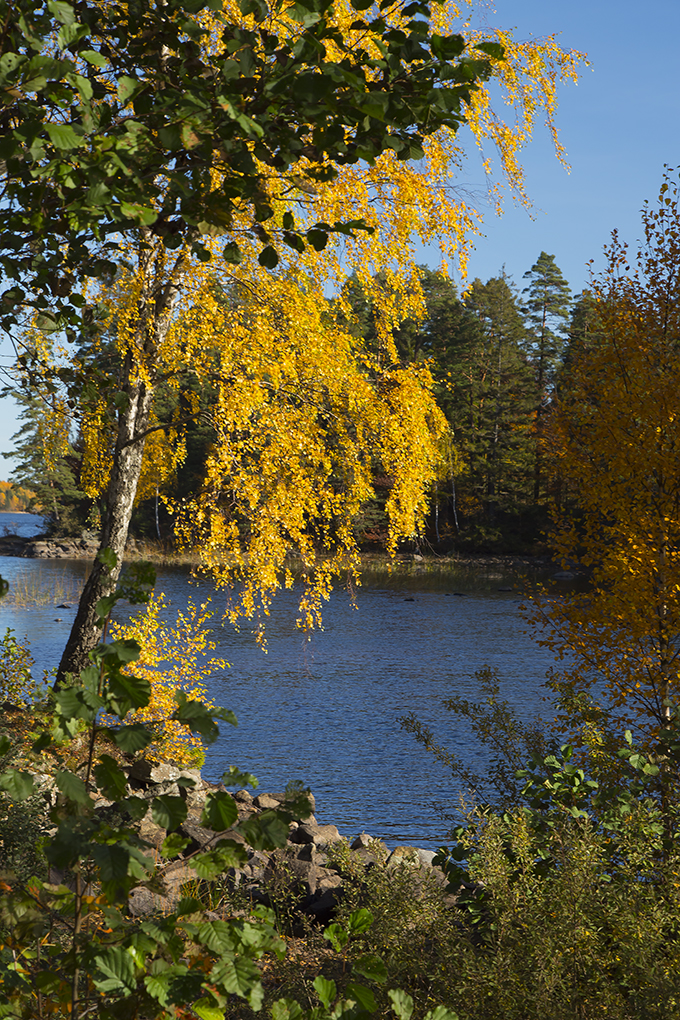 Efterårsfarver