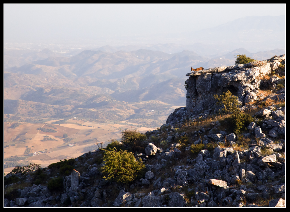 El Torcal de Antequera