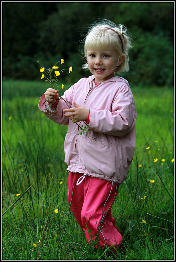 Laura plukker blomster