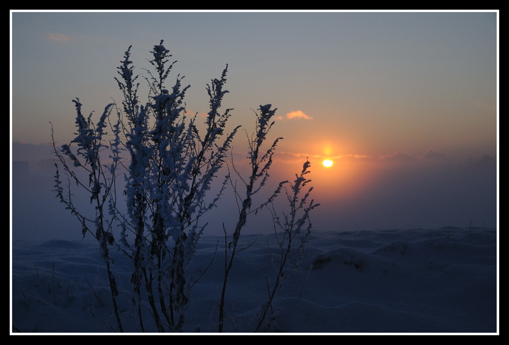 solnedgang over Adsbøl 0211