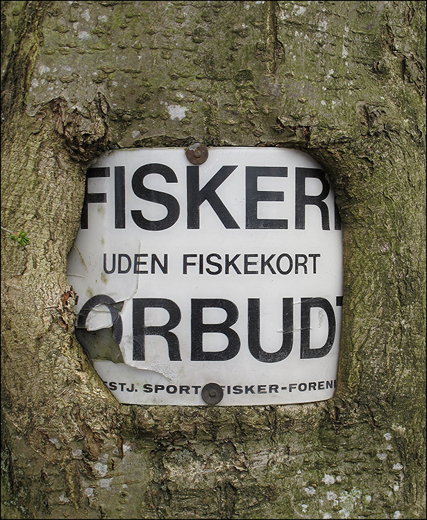 Fiskekort