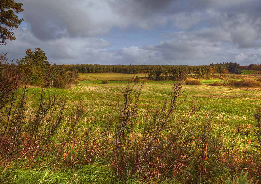 HDR Mark ved Lyhne