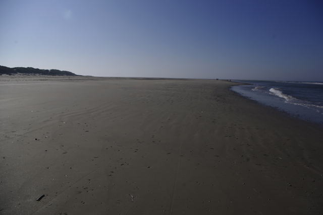 Blåvand strand 1