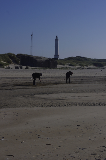 Blåvand strand 3