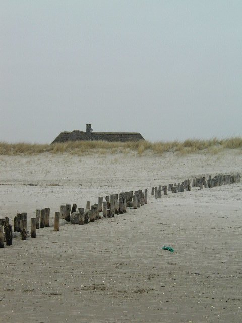 Ved hestene, Blåvand