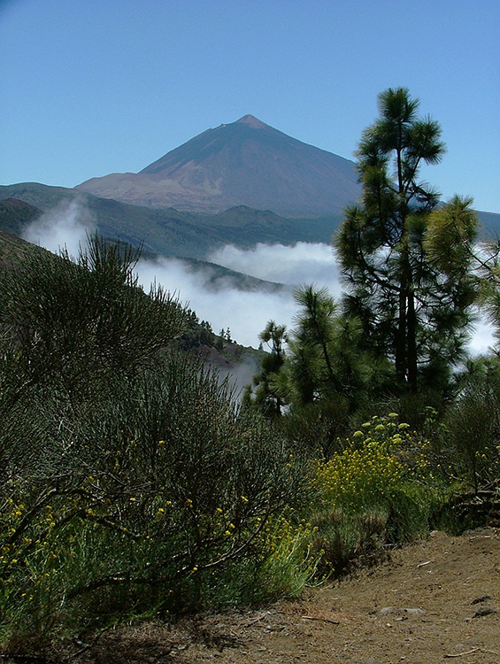 Tenerife