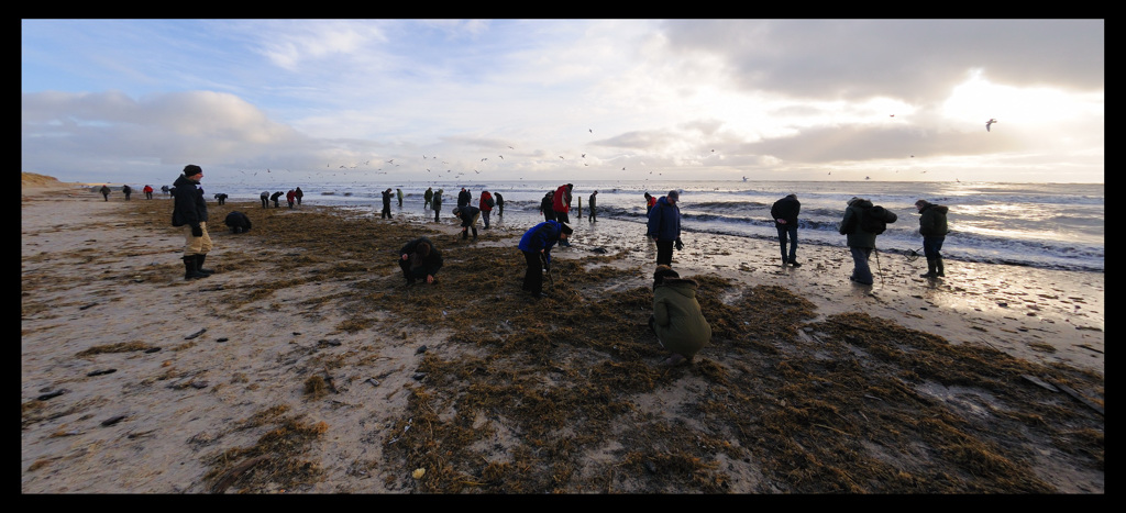 Blåvand 0211