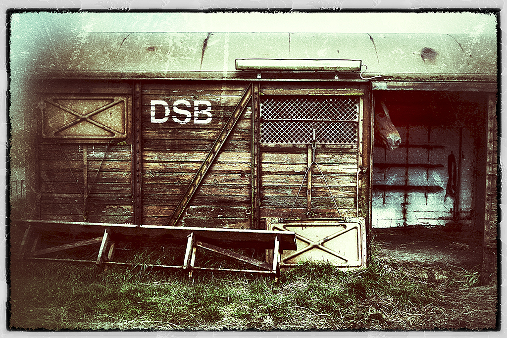 DSB Hest