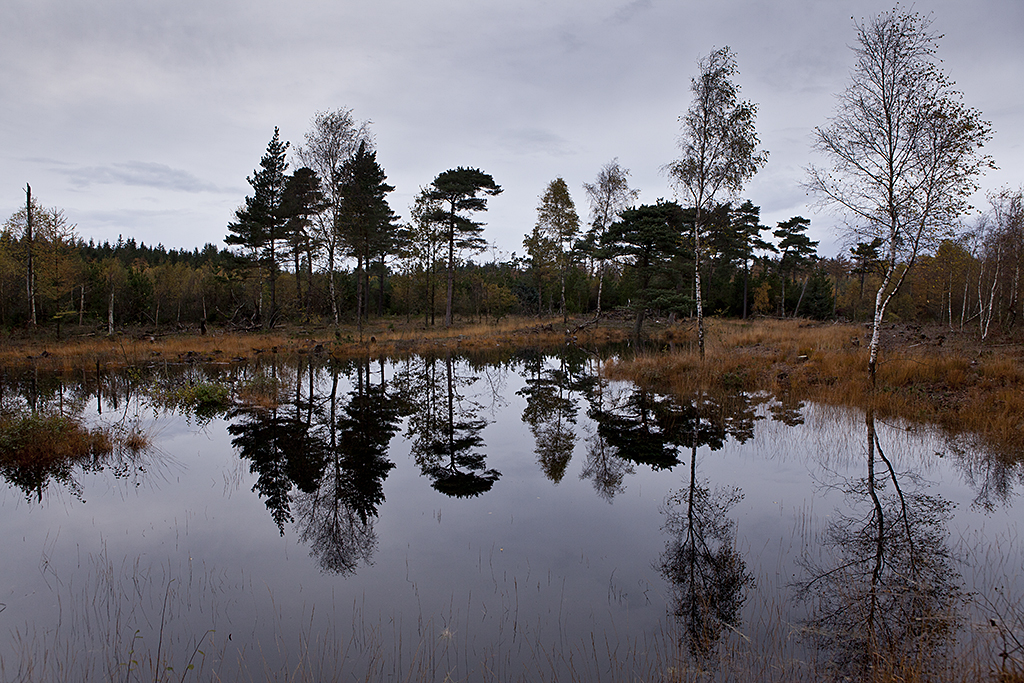 Oversvømmet