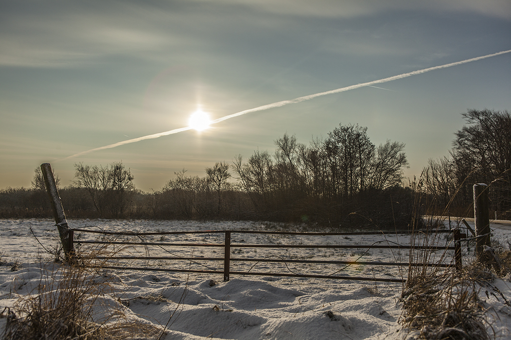 Vinter i modlys