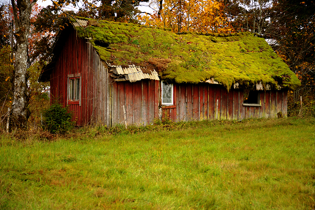 Der er stadig små idyller i Småland for en "gør der selv" -type!