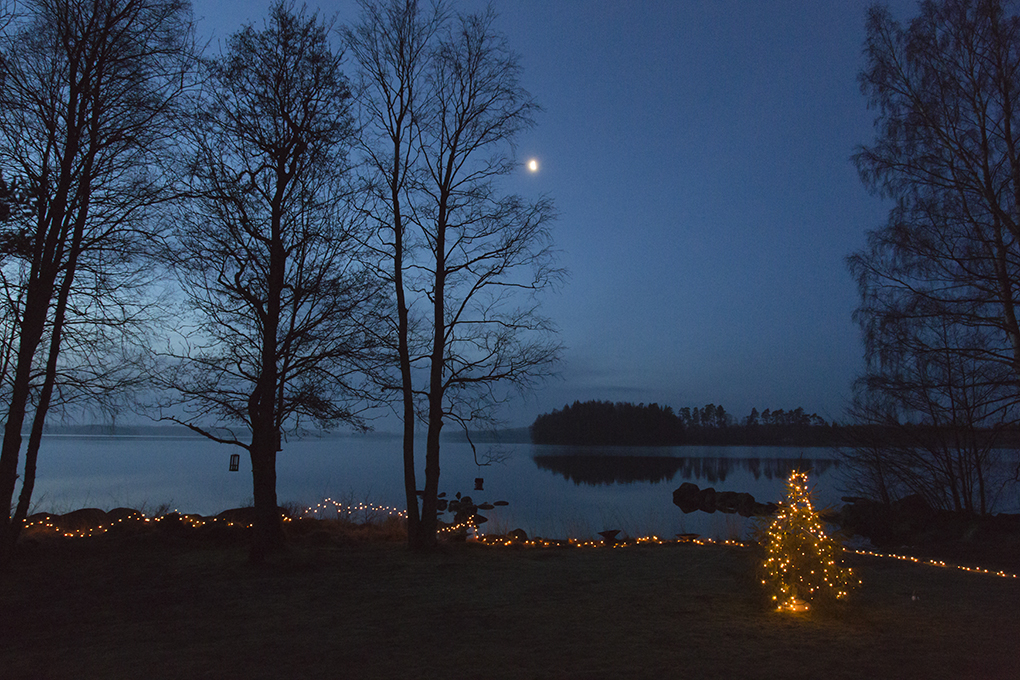 Jul ved søbred med fuglefodring.