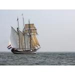 Tall Ship Race