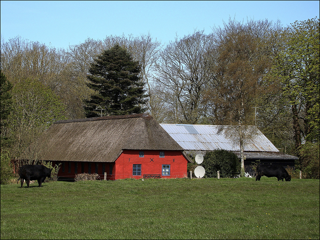 Dansk natur