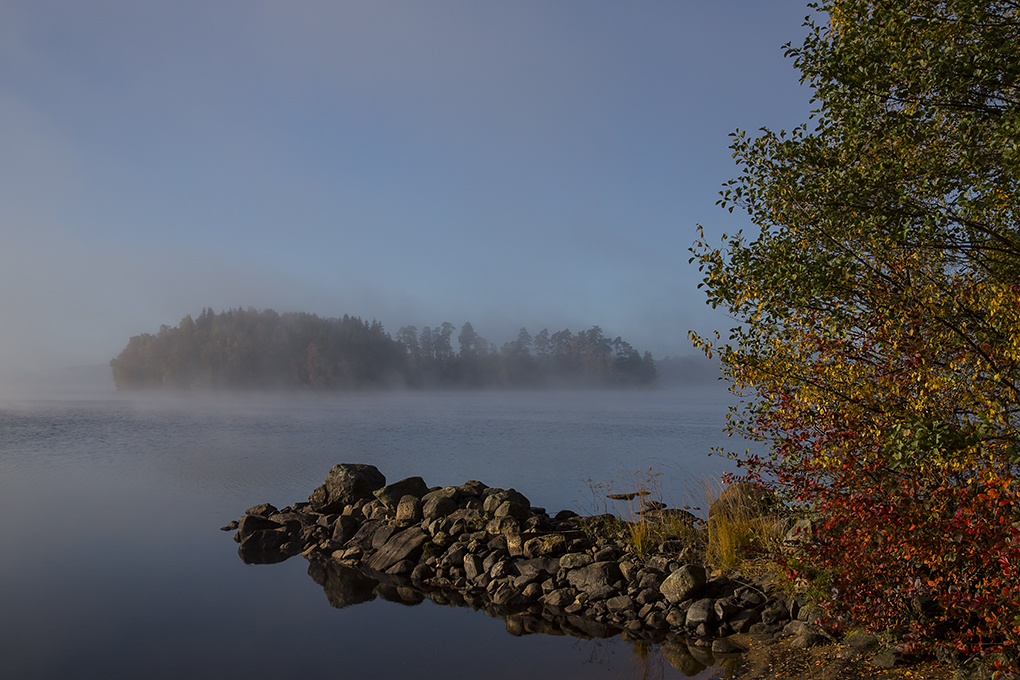 Efterårsmorgensol.