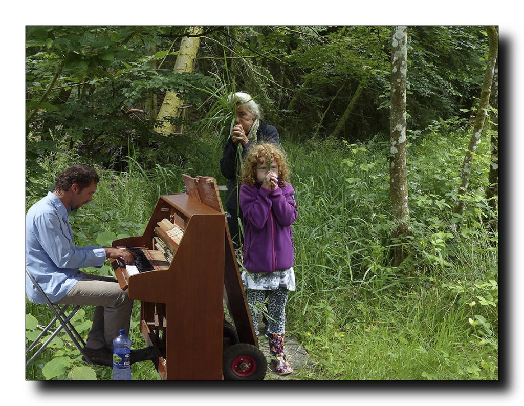 Musik i skoven