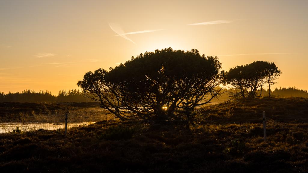 Solnedgang i Marbæk - 1