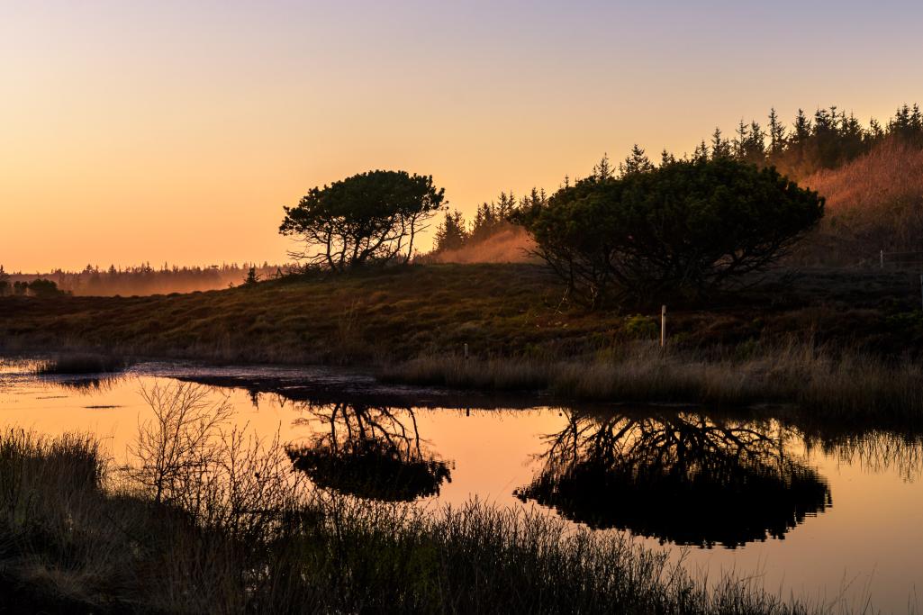 Solnedgang i Marbæk - 3