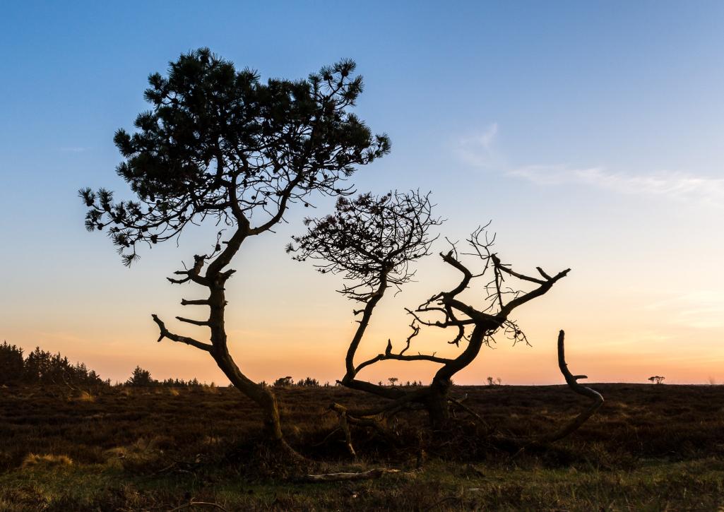 Solnedgang i Marbæk - 4