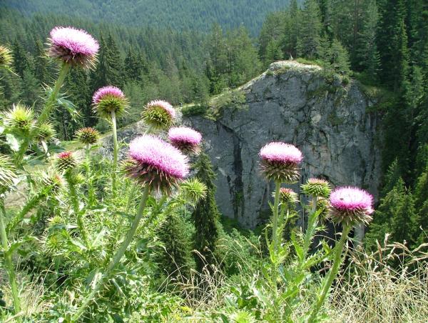 Bulgarien