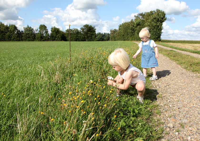 på udkik efter blomster