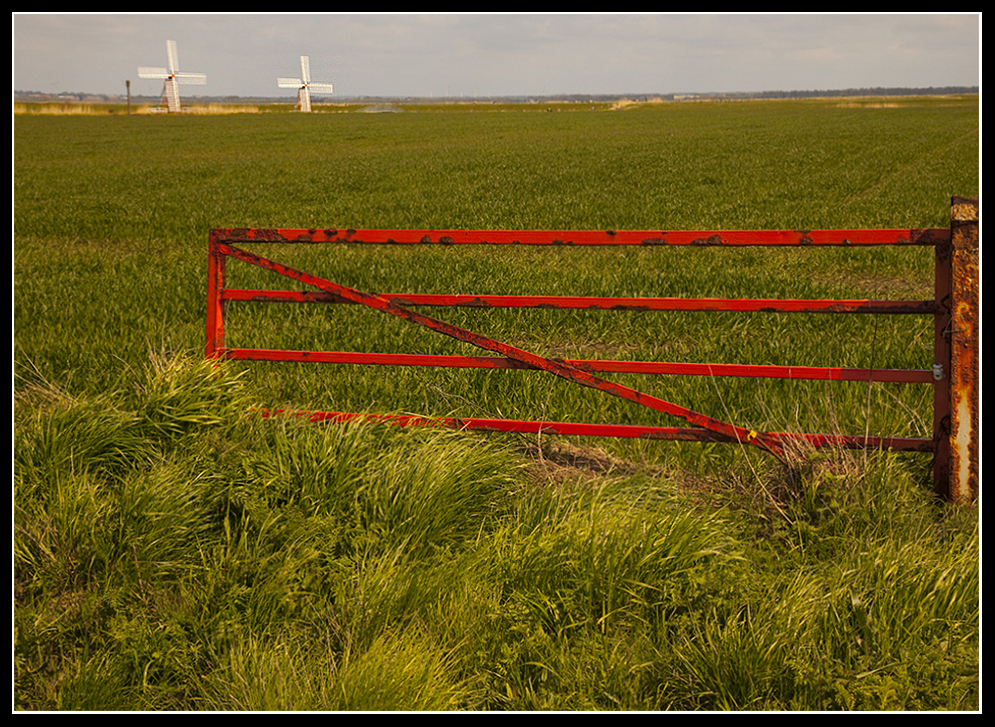 Don´t fence me in!