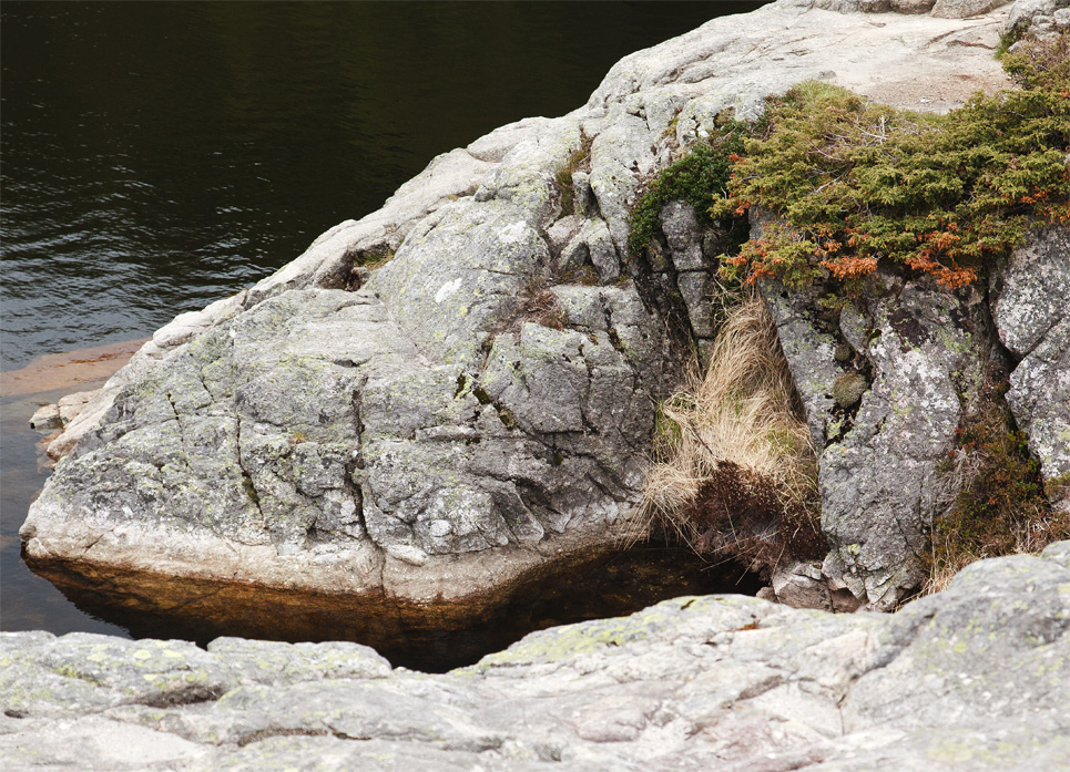 Krokodille ved Preikestolen