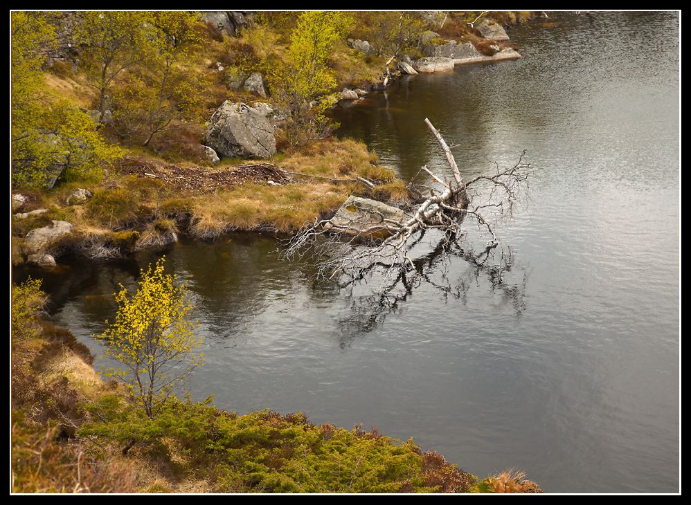 Fra Preikestolen